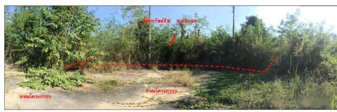ที่ดินเปล่าหลุดจำนอง ธ.ธนาคารกรุงไทย ลำพูน เมืองลำพูน มะเขือแจ้