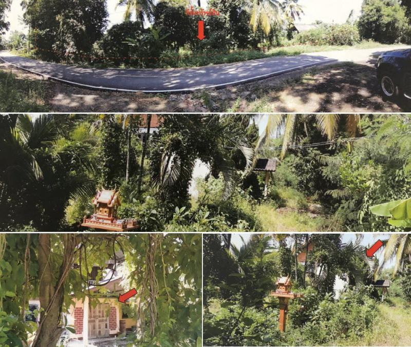 ที่ดินพร้อมสิ่งปลูกสร้างหลุดจำนอง ธ.ธนาคารกรุงไทย ลำพูน เมืองลำพูน ประตูป่า