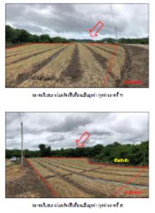 ที่ดินเปล่าหลุดจำนอง ธ.ธนาคารกรุงไทย ลำพูน ป่าซาง นครเจดีย์