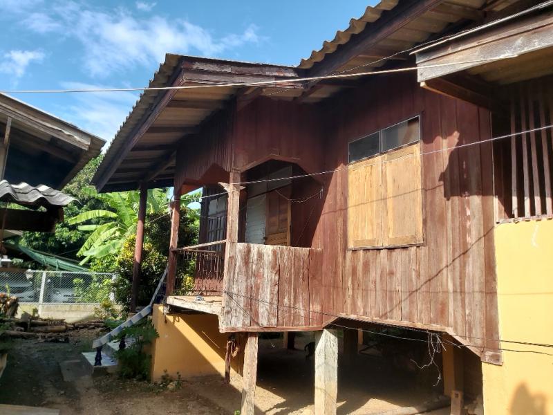 ที่ดินพร้อมสิ่งปลูกสร้างหลุดจำนอง ธ.ธนาคารออมสิน ลำพูน แม่ทา ทาสบเส้า