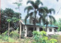 บ้านเดี่ยวหลุดจำนอง ธ.ธนาคารอาคารสงเคราะห์ ลำพูน เมืองลำพูน อุโมงค์