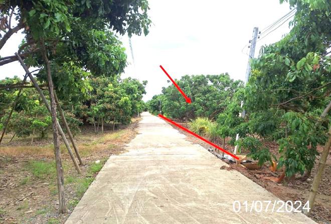 ที่ดินว่างเปล่าหลุดจำนอง ธ.ธนาคารกสิกรไทย ลำพูน เวียงหนองล่อง หนองล่อง