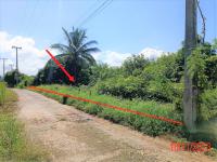 ที่ดินว่างเปล่าหลุดจำนอง ธ.ธนาคารกสิกรไทย ลำพูน เวียงหนองล่อง หนองยวง