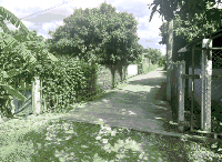 บ้านเดี่ยวหลุดจำนอง ธ.ธนาคารกสิกรไทย ลำพูน ลี้ ลี้